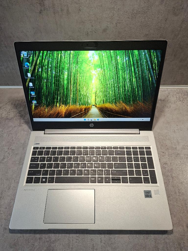 HP ProBook 450 G7 i5-10210U 16GB 256GB SSD Windows 11 Pro, 256 GB, 2 tot 3 Ghz, Intel® Core™ i5-10210U (10th Generatie), Ophalen of Verzenden