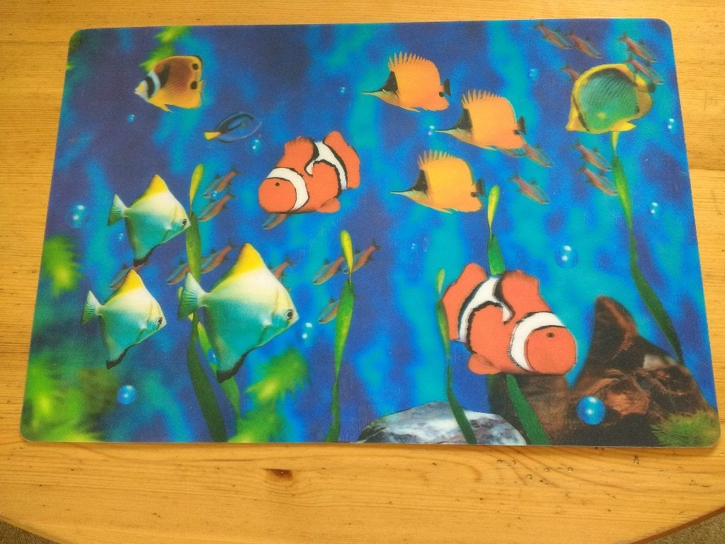 Placemat met vissen o.a. Anemoonvis, clownsvis 3 D, Ophalen, Placemat, Zo goed als nieuw, Blauw