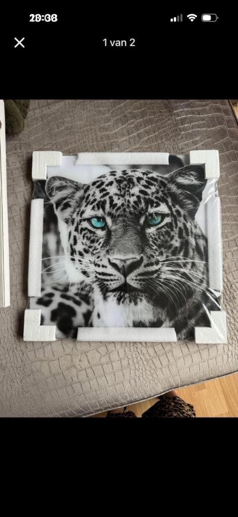 Glaslijst, Ophalen, Nieuw, Schilderij, Minder dan 50 cm