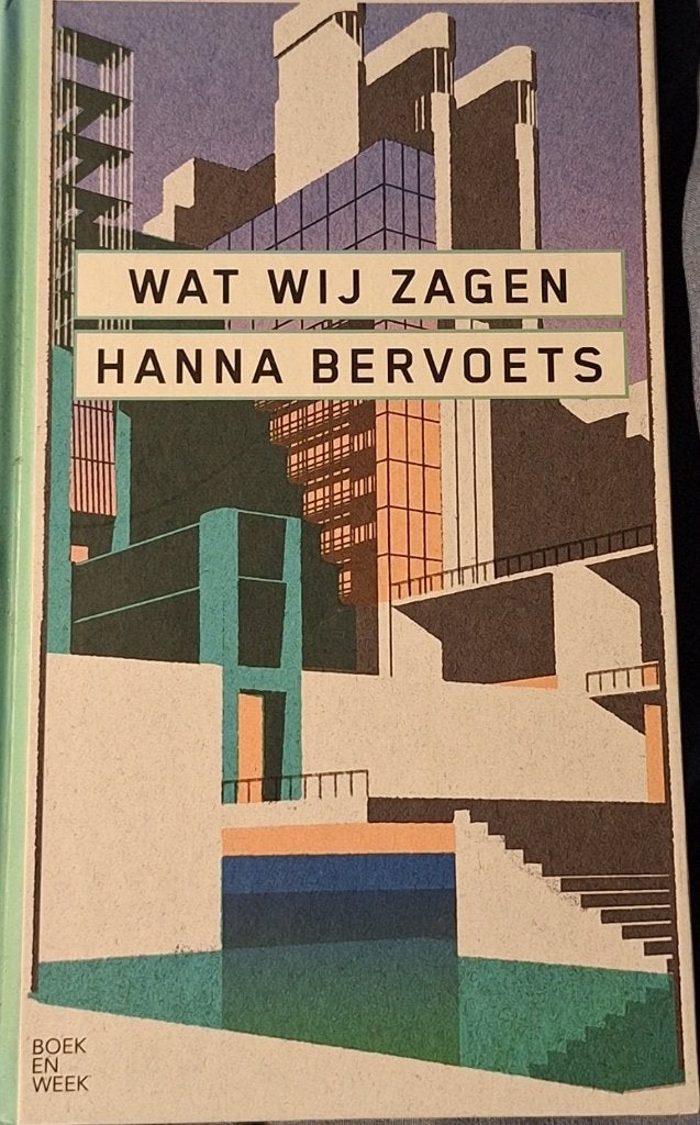 Wat wij zagen - Hanna Bervoets, Hanna Bervoets, Ophalen of Verzenden, Zo goed als nieuw, Nederland