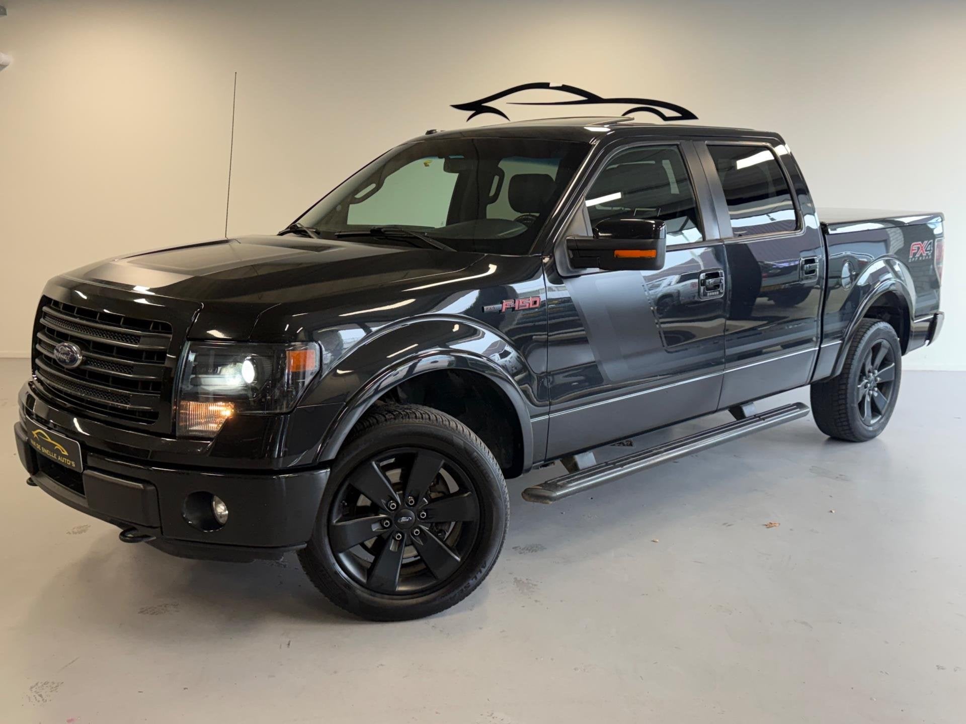 Ford USA F150 5.0 V8 SuperCrew CAMERA/SONYSOUND/BTW, Auto's, Euro 5, Gebruikt, 8 cilinders, F-150