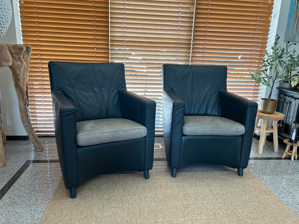 2 x Prachtige Leolux Dolcinea stoel fauteuil Design stoelen, Huis en Inrichting, Fauteuils, Ophalen, Gebruikt, Tijdloos Design meubels