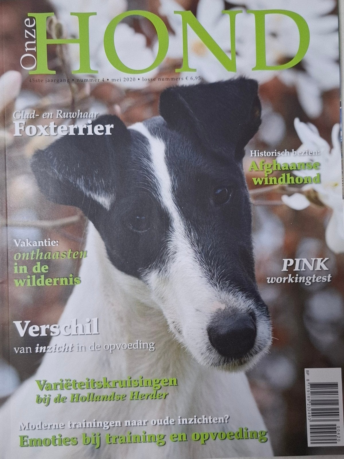 Onze Hond 2020 nr 4 - Foxterrier (Nieuw), Ophalen of Verzenden, Nieuw, Overige onderwerpen