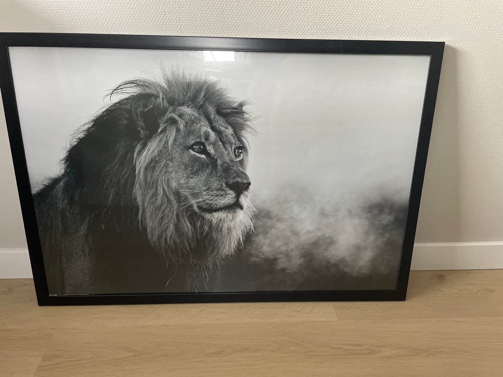 Ingelijste Leeuwenfoto Zwart-Wit - Indrukwekkend, 50 – 75, Ophalen of Verzenden, Zo goed als nieuw, 75 tot 100 cm
