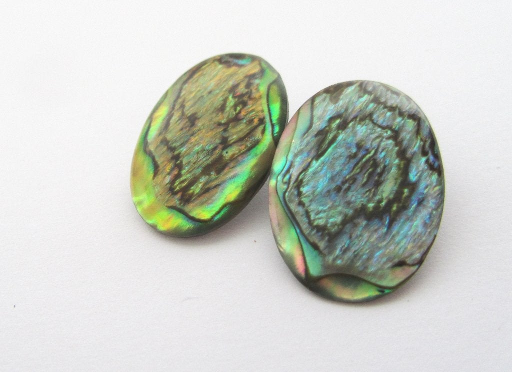 vintage prachtige Paua Shell Abalone Zee Opaal Oorbellen, Overige materialen, Overige kleuren, Verzenden, Zo goed als nieuw