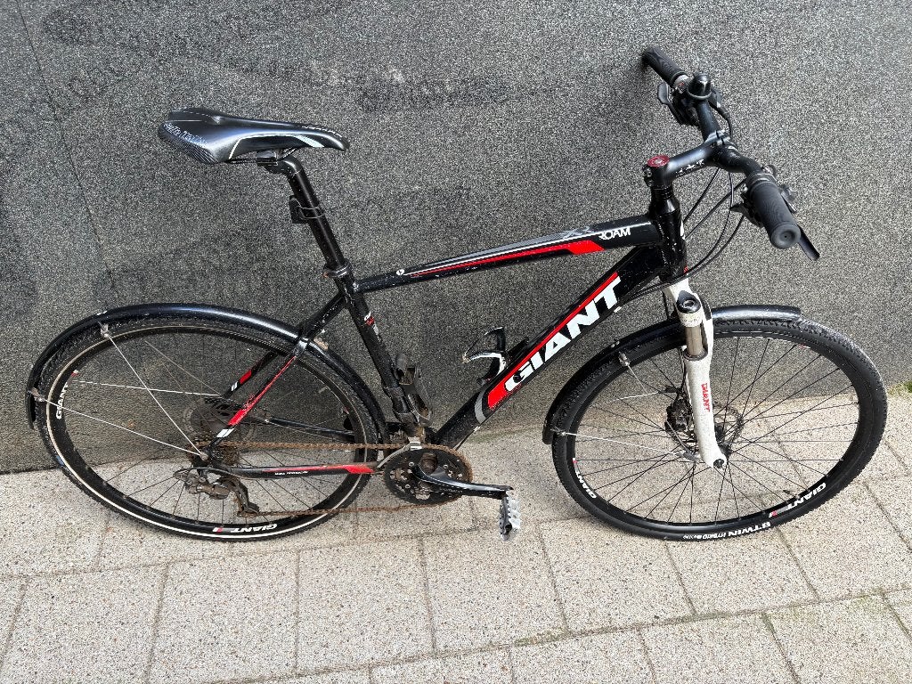 Giant Roam Fiets, Fietsen en Brommers, Fietsen | Mountainbikes en ATB, Ophalen, Gebruikt, Heren, Giant