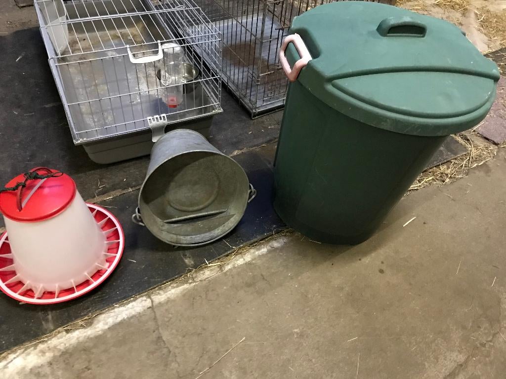 kippen, Dieren en Toebehoren, Meerdere dieren, Overige soorten