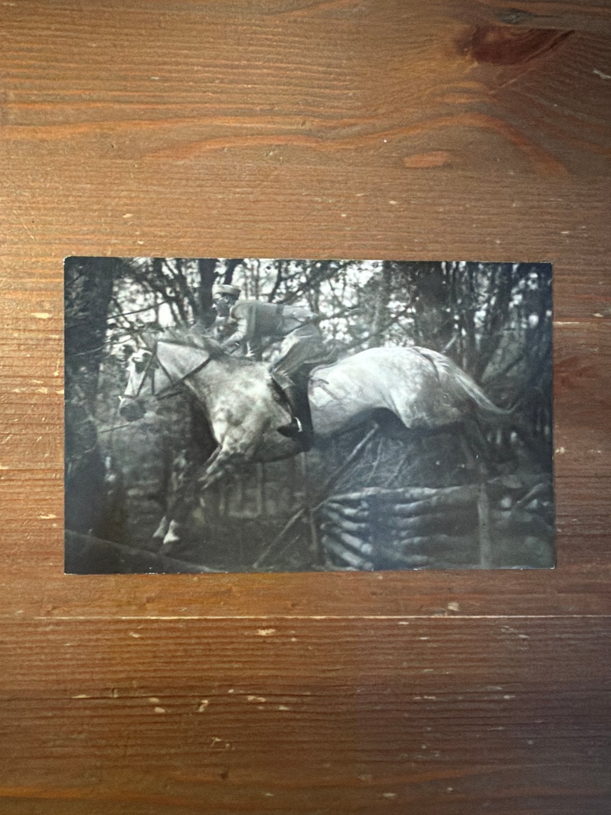 Prins Bernhard te paard over hindernis - Historische foto, Ophalen of Verzenden, 1920 tot 1940, Ongelopen, Politiek en Historie