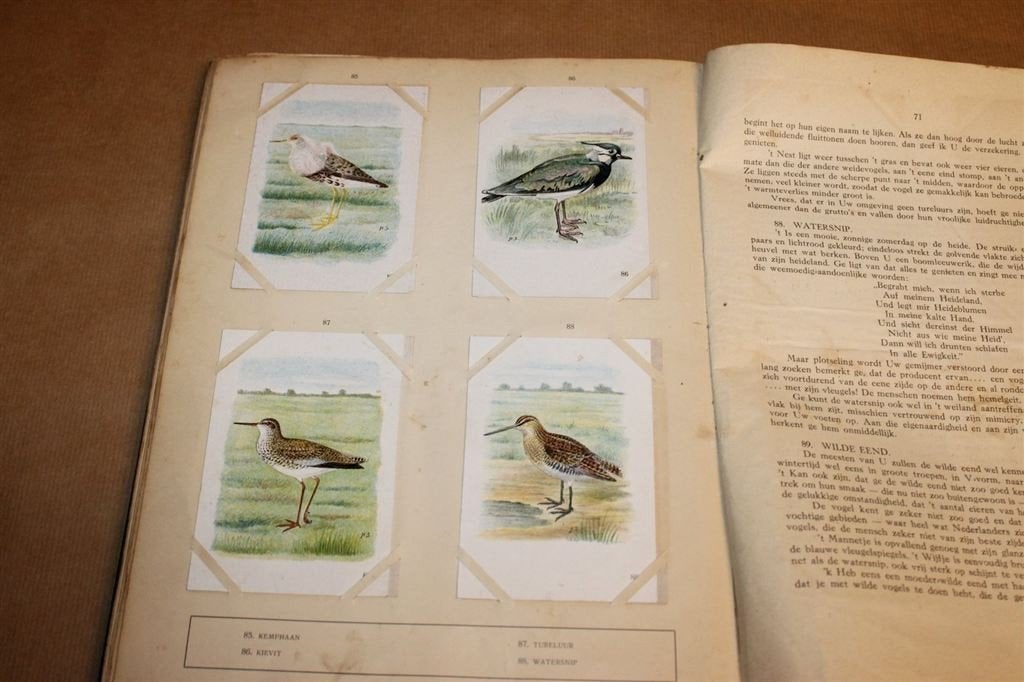 Vogelalbum Deel 1 — Compleet Plaatjesalbum Tiktak 1925, Boeken, Ophalen of Verzenden, Gelezen