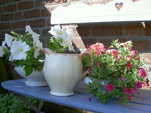 Bloemenkan, Ophalen of Verzenden