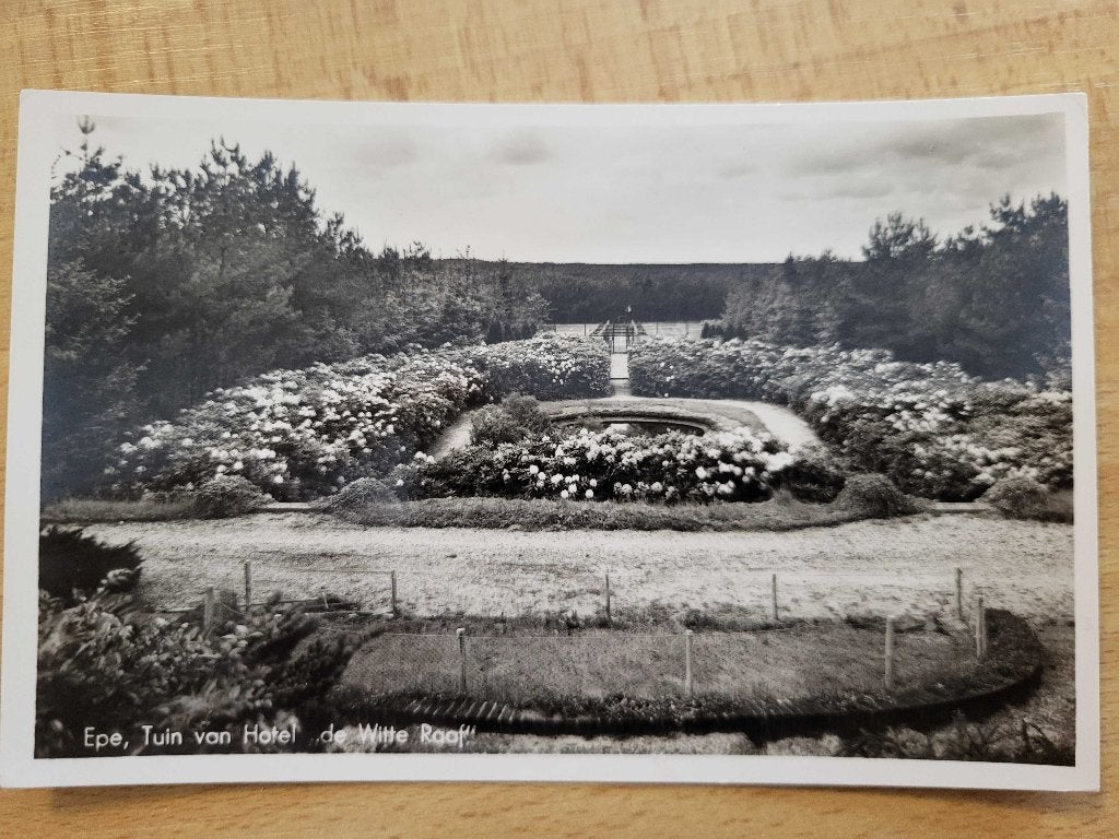 ansicht EPE de witte raaf, Ophalen of Verzenden, Voor 1920, Gelderland