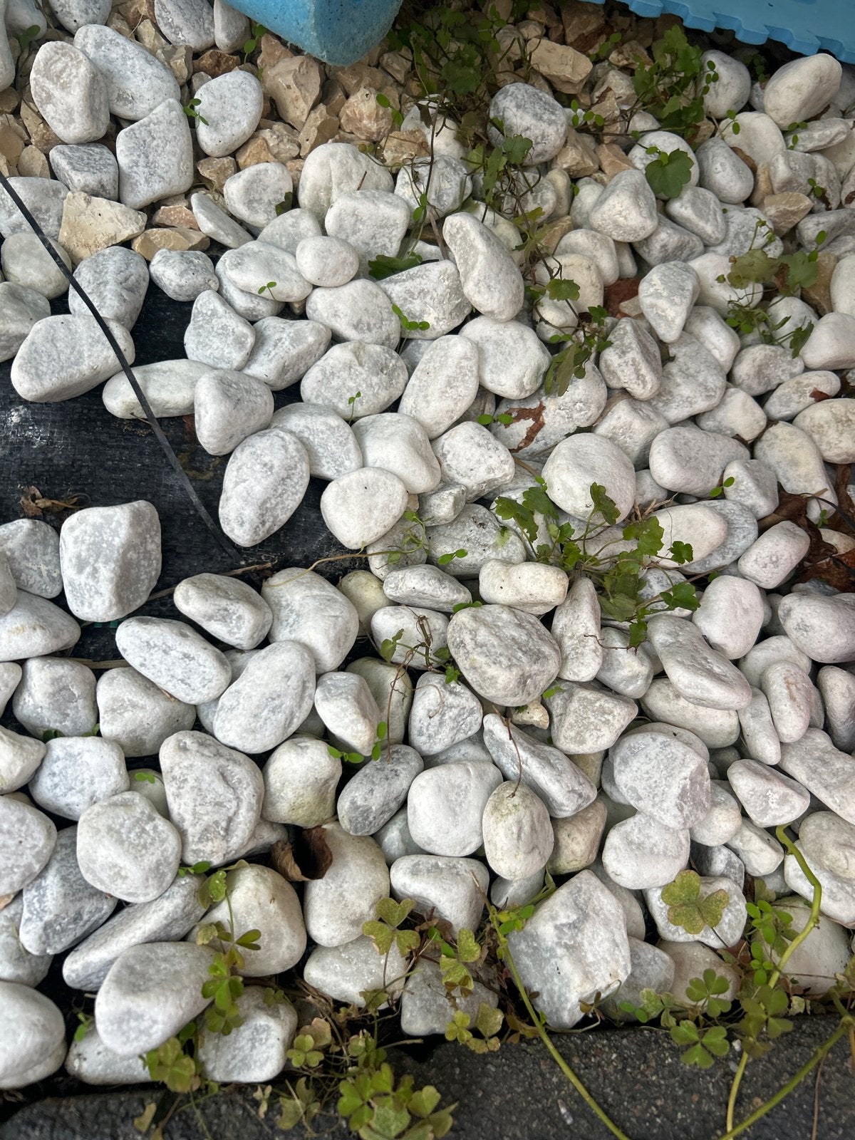sierstenen wit, Tuin en Terras, Ophalen, Overige materialen, Gebruikt, Wit