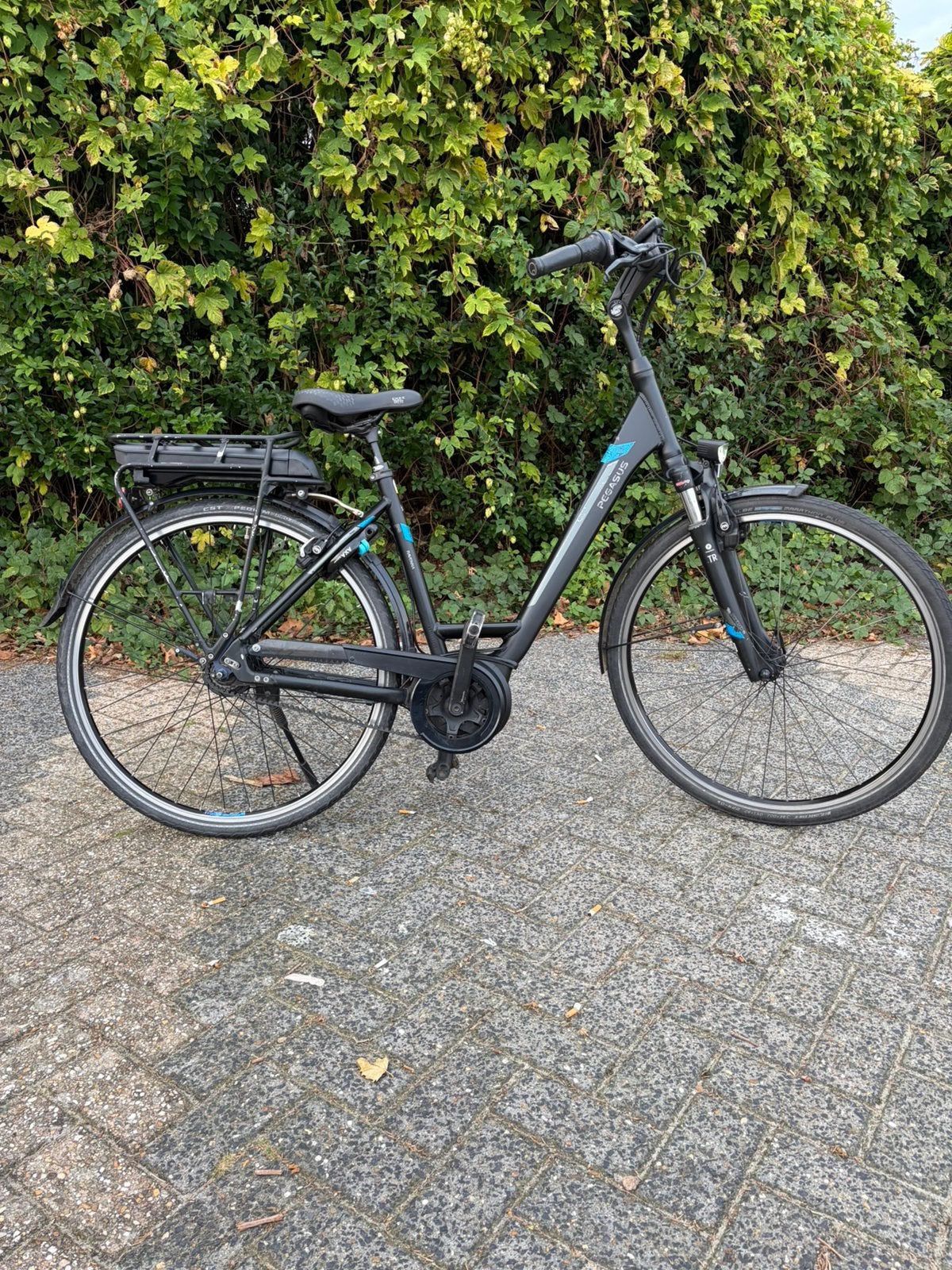 pegasus elektrische dames fiets, 47 tot 50 cm, Ophalen of Verzenden, Gebruikt, Versnellingen