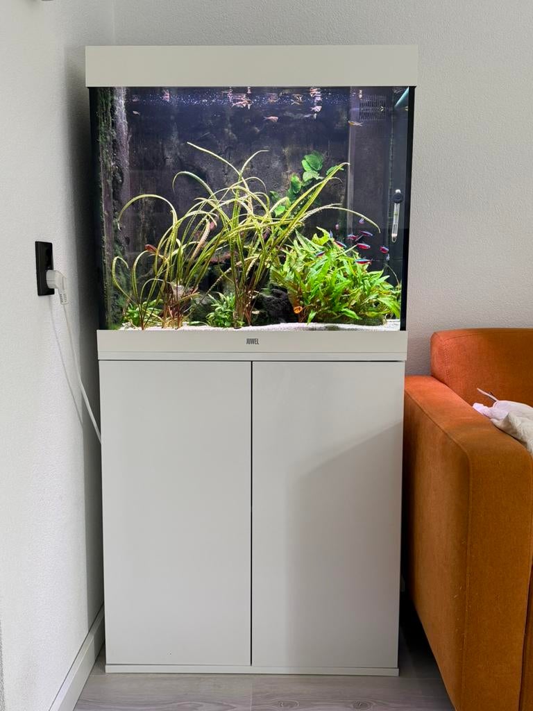 Juwel Lido 200, Ophalen, Juwel, Inclusief vissen, Gevuld zoetwateraquarium