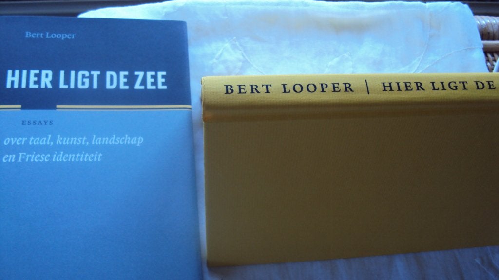 Hier ligt de zee, Ophalen of Verzenden, Zo goed als nieuw, Bert Looper