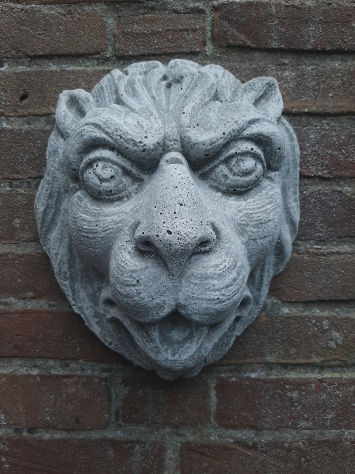 Gargoyle wanddecoratie betonnen beeld tuinbeeld beton, Ophalen of Verzenden