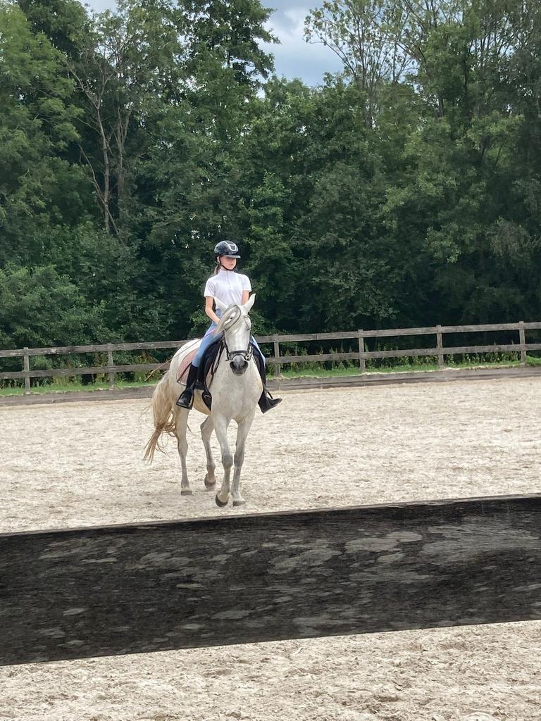 Bijrijder/verzorgster aangeboden, Dieren en Toebehoren, Paarden en Pony's | Verzorgingsproducten, Ophalen