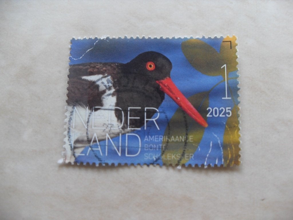 Nederland 2025., Verzenden, Gestempeld