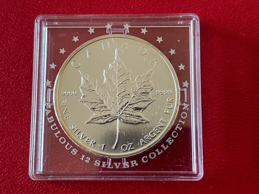 Zilveren Maple leaf munt 2010 Canada, Ophalen of Verzenden, Zilver