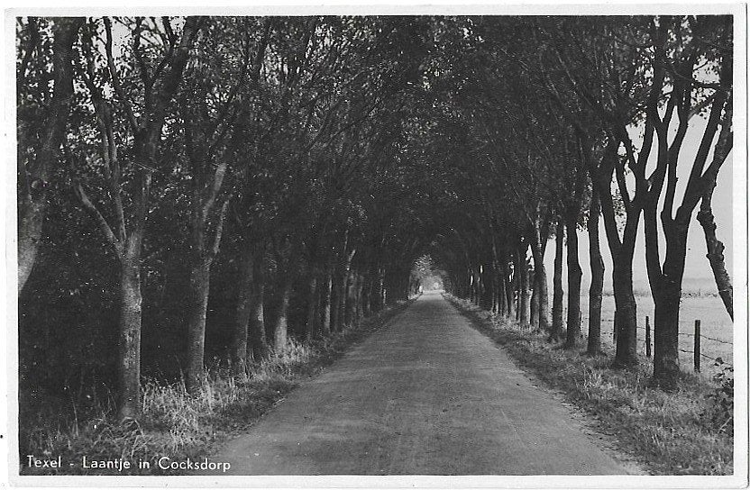 AK Texel - Laantje in Cocksdorp, Verzenden, 1940 tot 1960, Gelopen, Waddeneilanden