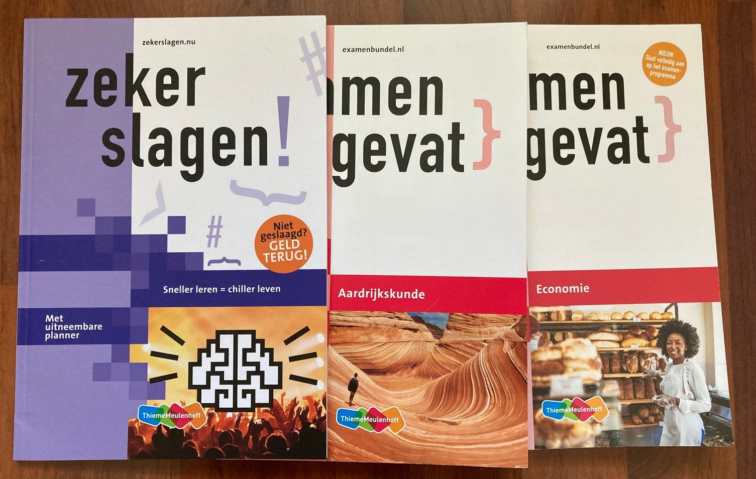 Samengevat vwo economie en aardrijkskunde+gratis zekerslagen, Boeken, Schoolboeken, Ophalen of Verzenden, Zo goed als nieuw, VWO