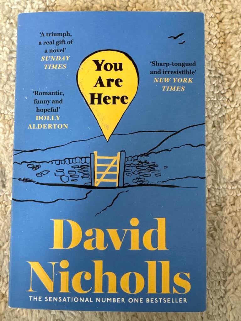 You Are Here - David Nicholls, Ophalen of Verzenden, Zo goed als nieuw, Europa overig