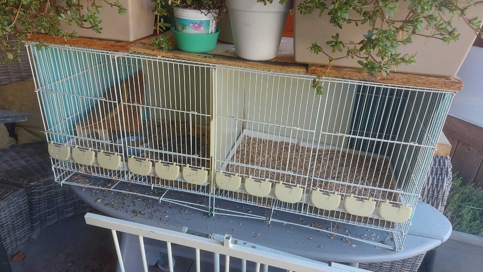 Vogelkooi of kweekkooi. indeling te variëren., Dieren en Toebehoren, Ophalen, Gebruikt, Metaal, Vogelkooi