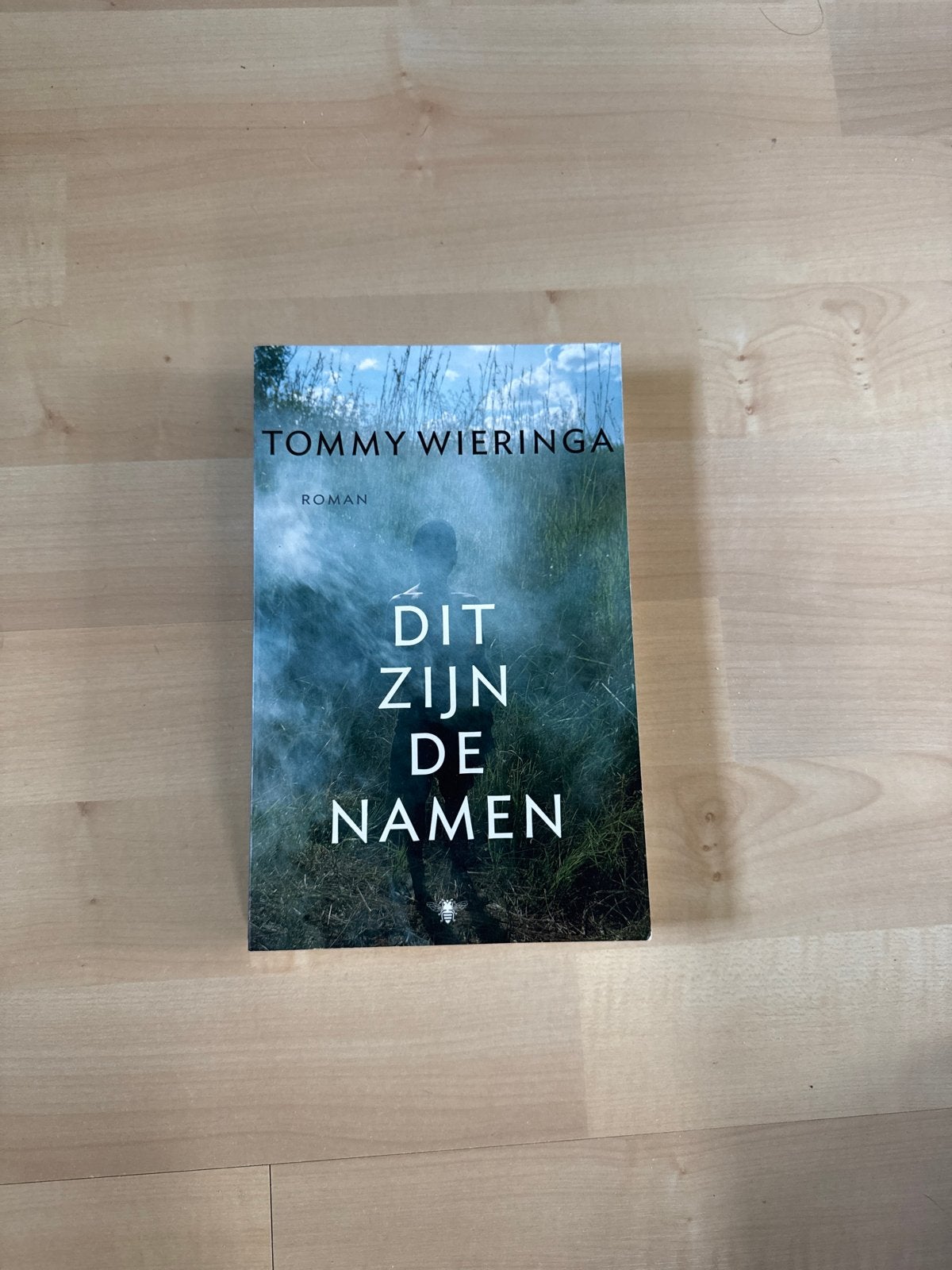Tommy Wieringa - Dit zijn de namen (Roman), Ophalen of Verzenden, Gelezen