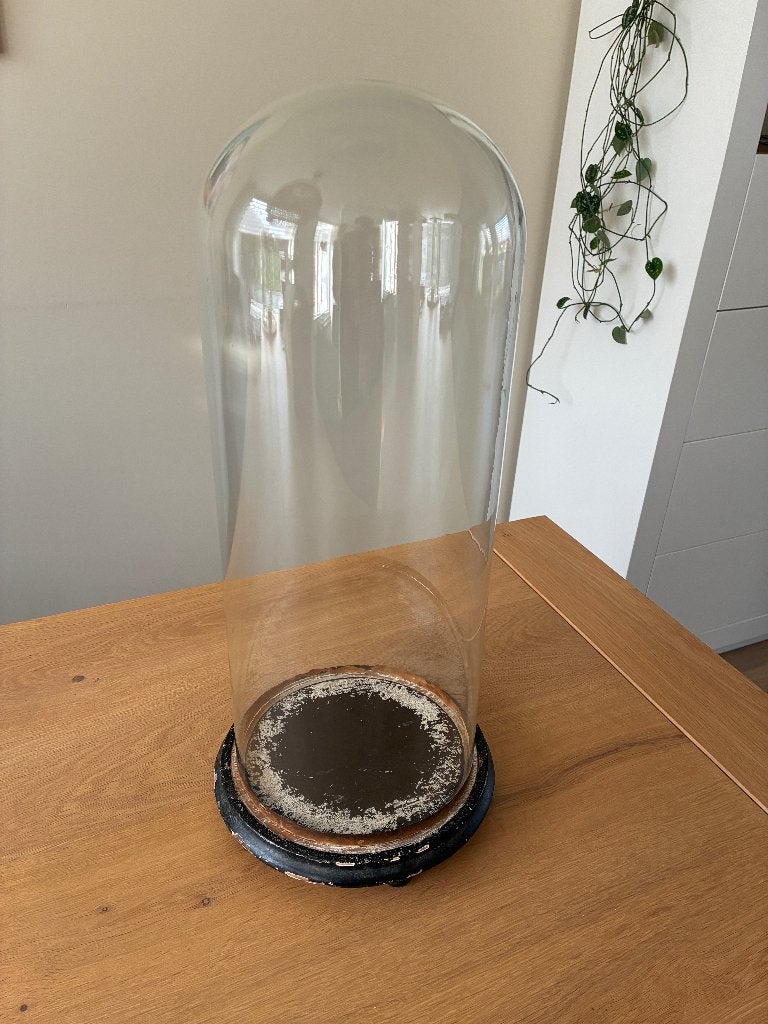 Antieke Glazen Stolp op Houten Voet – Hoogte 49,5 cm, Huis en Inrichting, Woonaccessoires | Stolpen, Ophalen, Gebruikt, Mondgeblazen