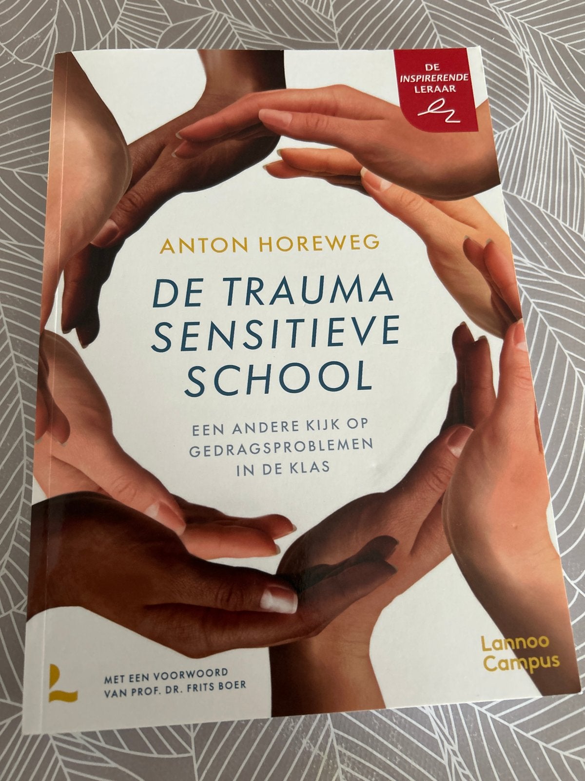 De Trauma Sensitieve School - Anton Horeweg, Boeken, Studieboeken en Cursussen, Ophalen of Verzenden, Gamma, Gelezen, HBO