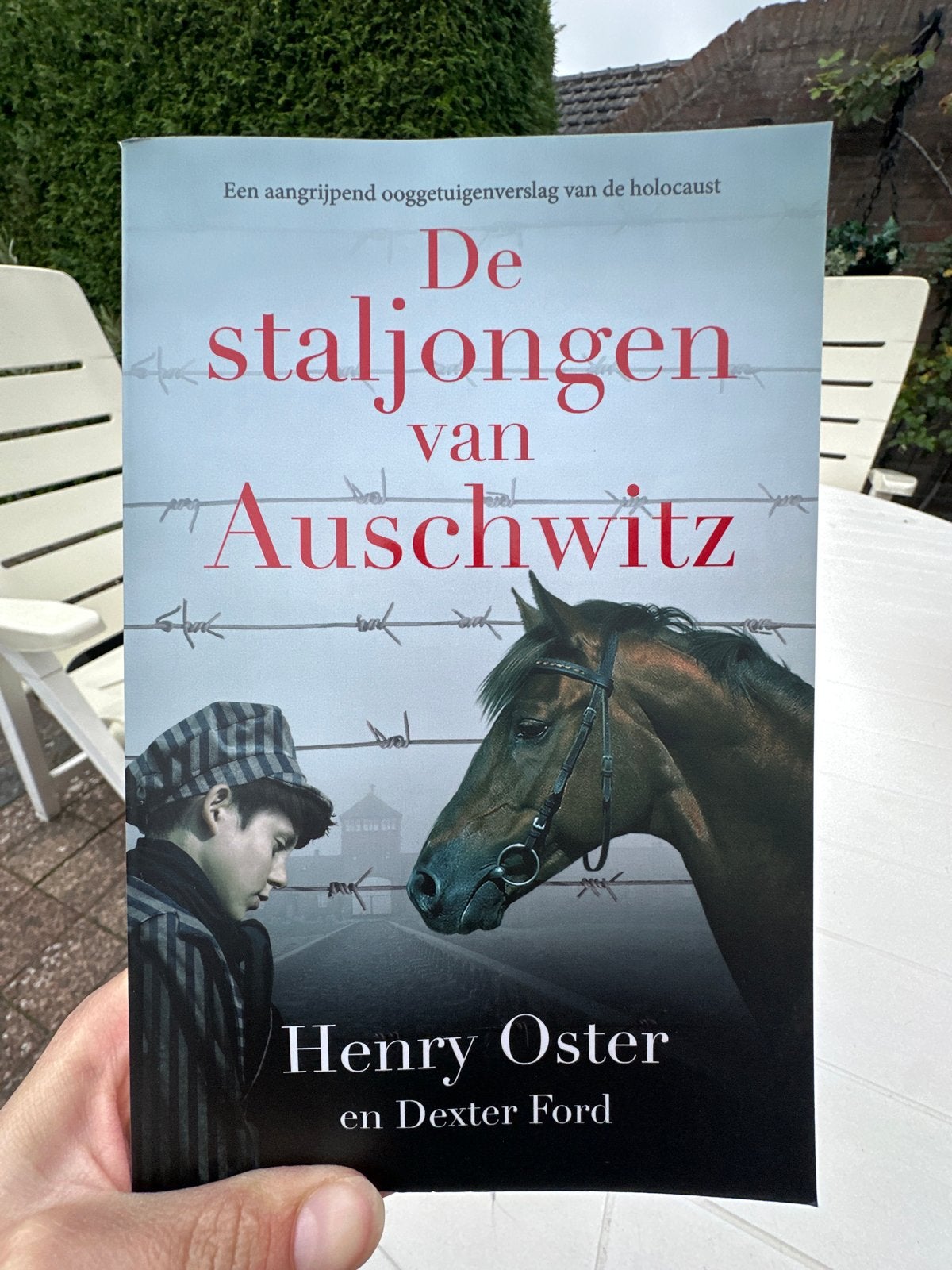 De staljongen van Auschwitz - Henry Oster, Ophalen of Verzenden, 20e eeuw of later, Zo goed als nieuw