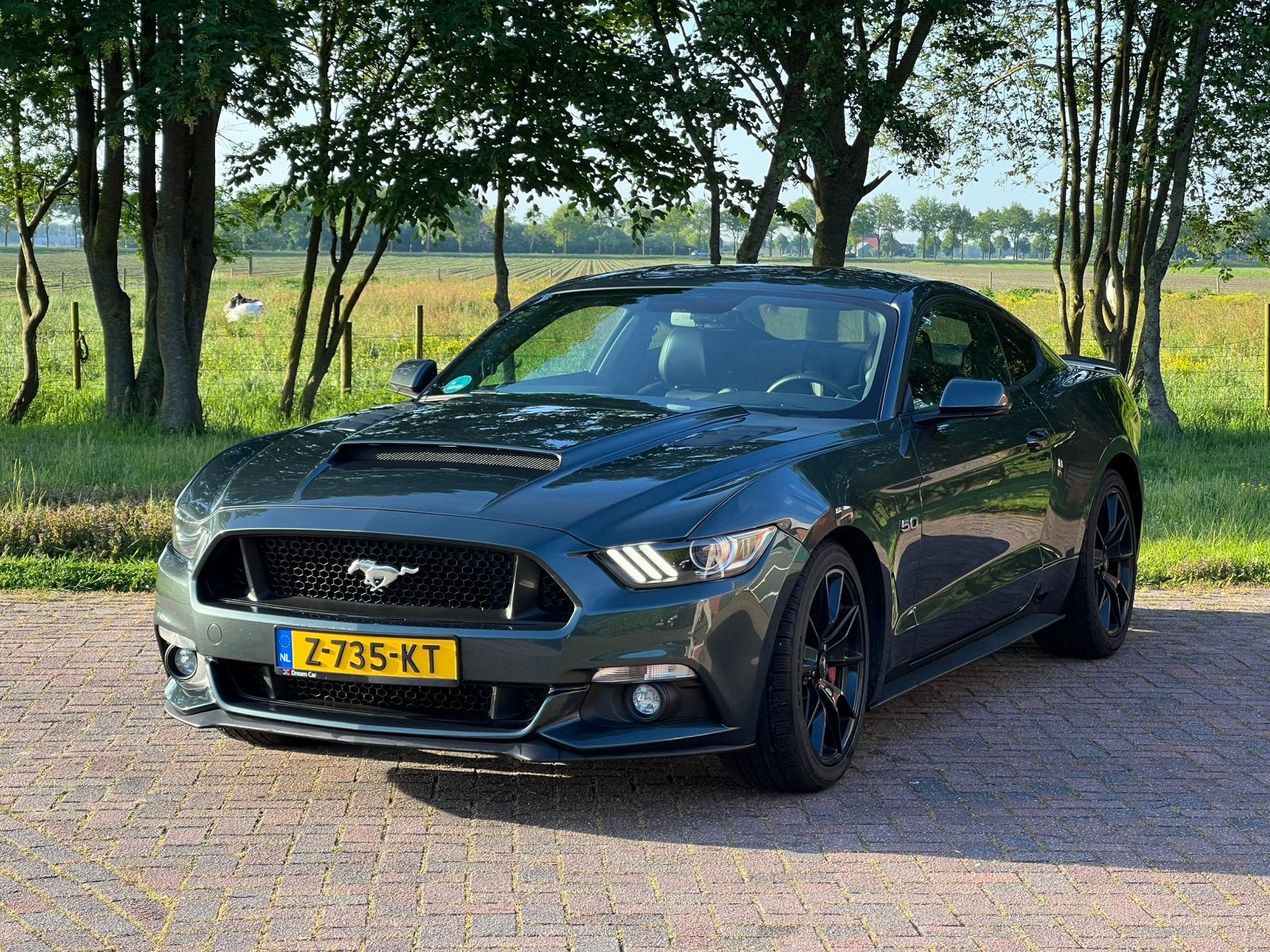 Ford mustang gt 2015 - 50 year, Auto's, Automaat, Achterwielaandrijving, 1738 kg, Leder