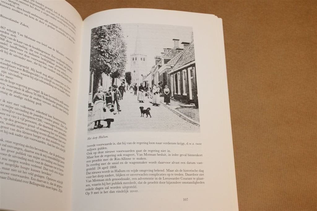 De Meesterdief uit de Wouden — Friese Historische Verhalen, Boeken, Ophalen of Verzenden, Zo goed als nieuw