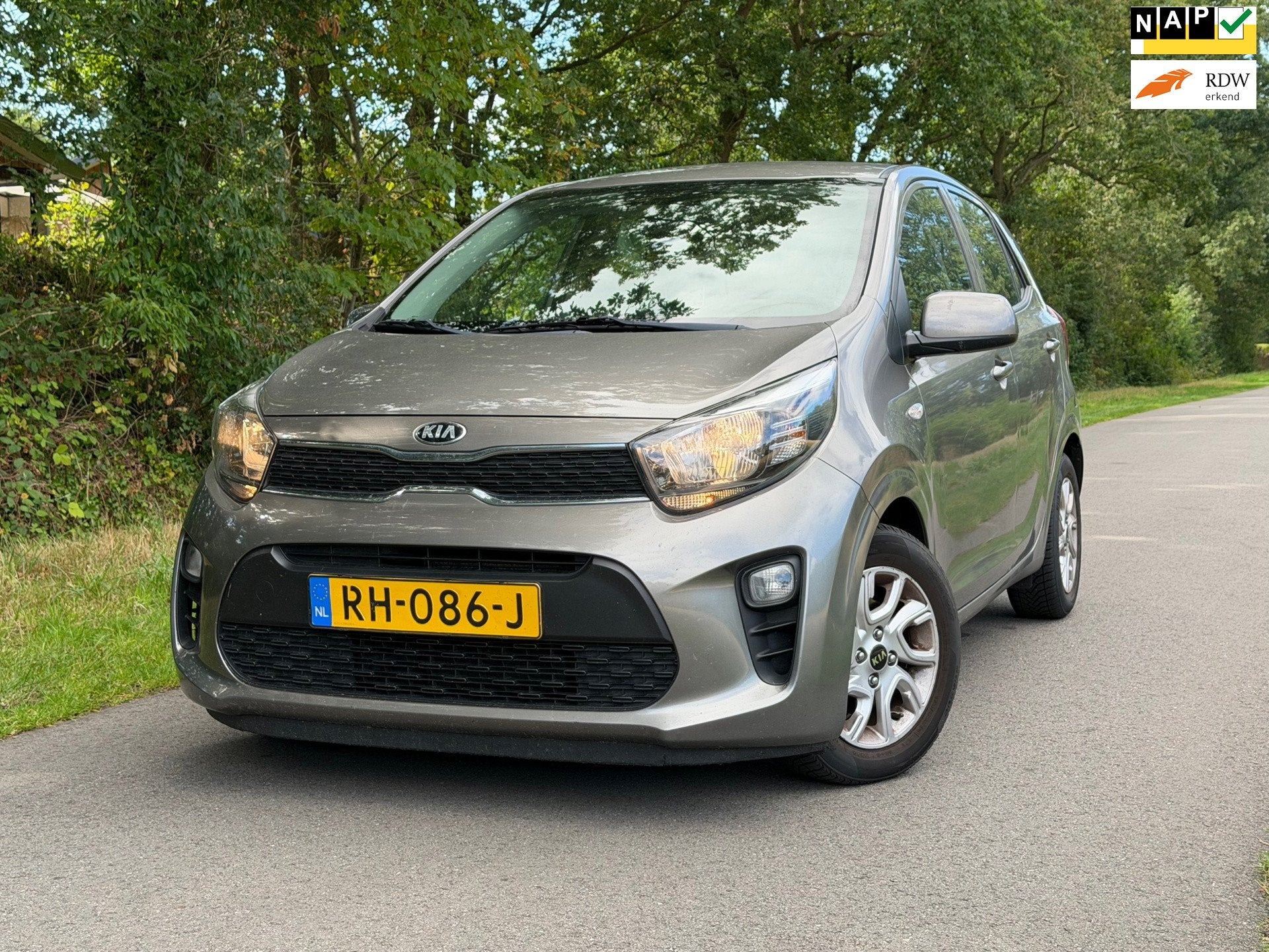 Kia Picanto 1.0 CVVT ComfortPlusLine Navigator | Cruise + Na, Voorwielaandrijving, Gebruikt, Euro 6, 4 stoelen