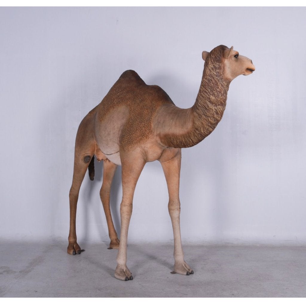 Dromedary Camel – Dromedaris beeld Lengte 250 cm, Verzamelen, Ophalen, Nieuw, Overige typen
