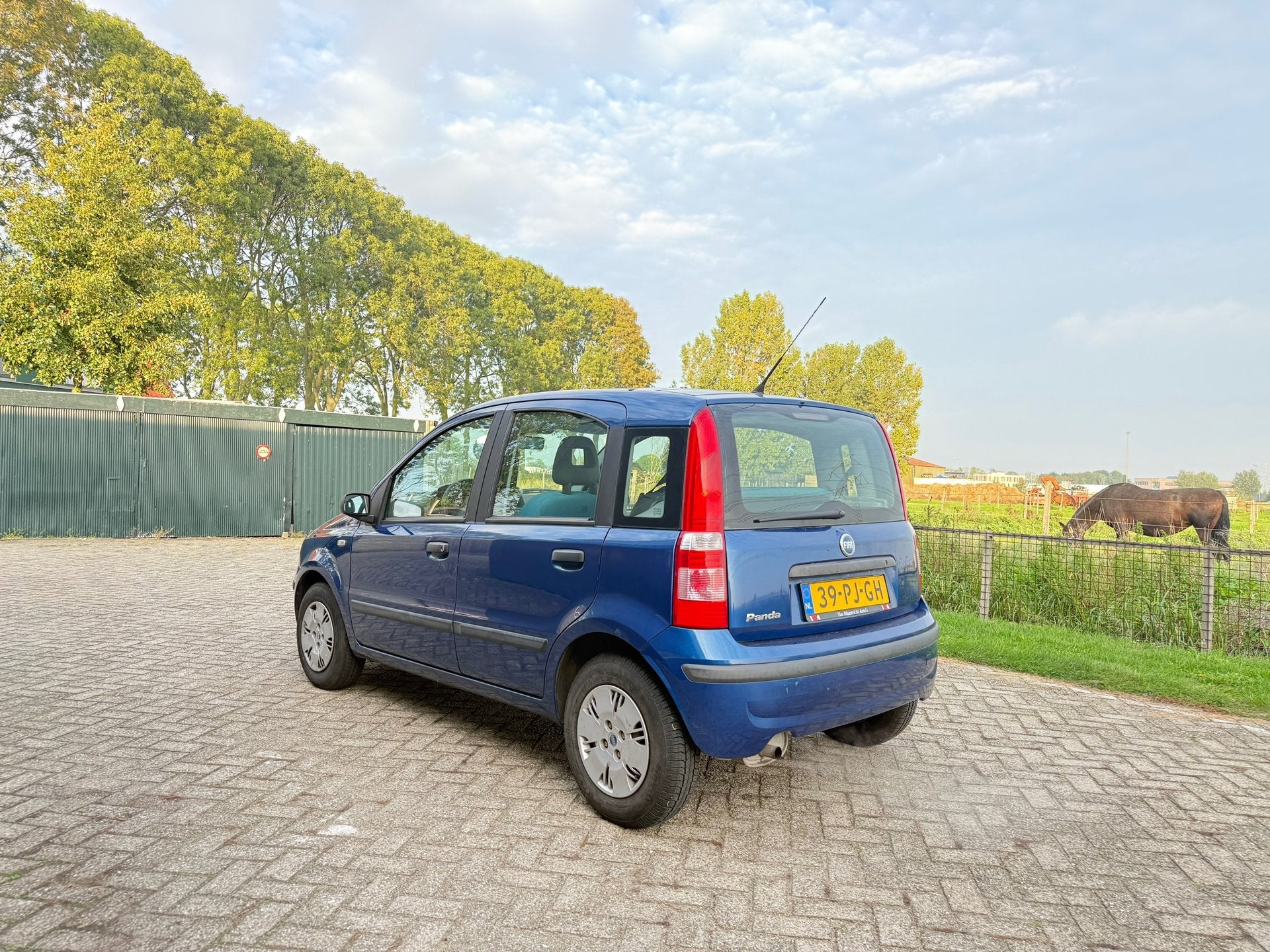 Fiat Panda 1.2 Dynamic Panoramadak/Nieuwe apk, Voorwielaandrijving, Gebruikt, Origineel Nederlands, Bedrijf