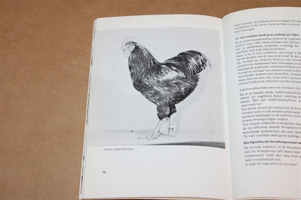 Kippen, Krielen en Kuikens — Rassen & Verzorging, Ophalen of Verzenden, Gelezen