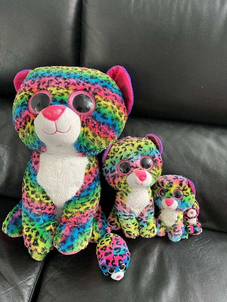 TY knuffels Beanie regenboog 5 stuks, Ophalen of Verzenden, Zo goed als nieuw, Overige typen, Ty