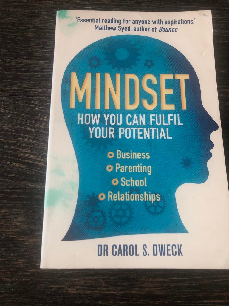 Mindset: How You Can Fulfil Your Potential - Dr Carol S. Dwe, Boeken, Ophalen of Verzenden, Gelezen, Overige onderwerpen