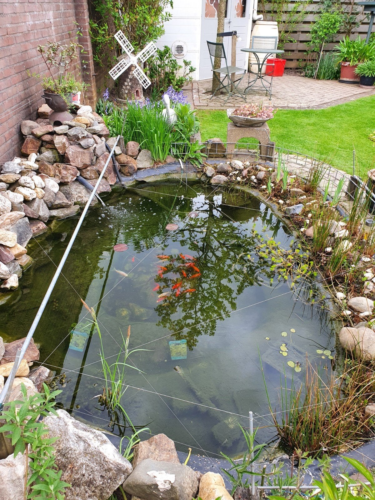 vijverbenodigdheden en vissen, Tuin en Terras, Ophalen