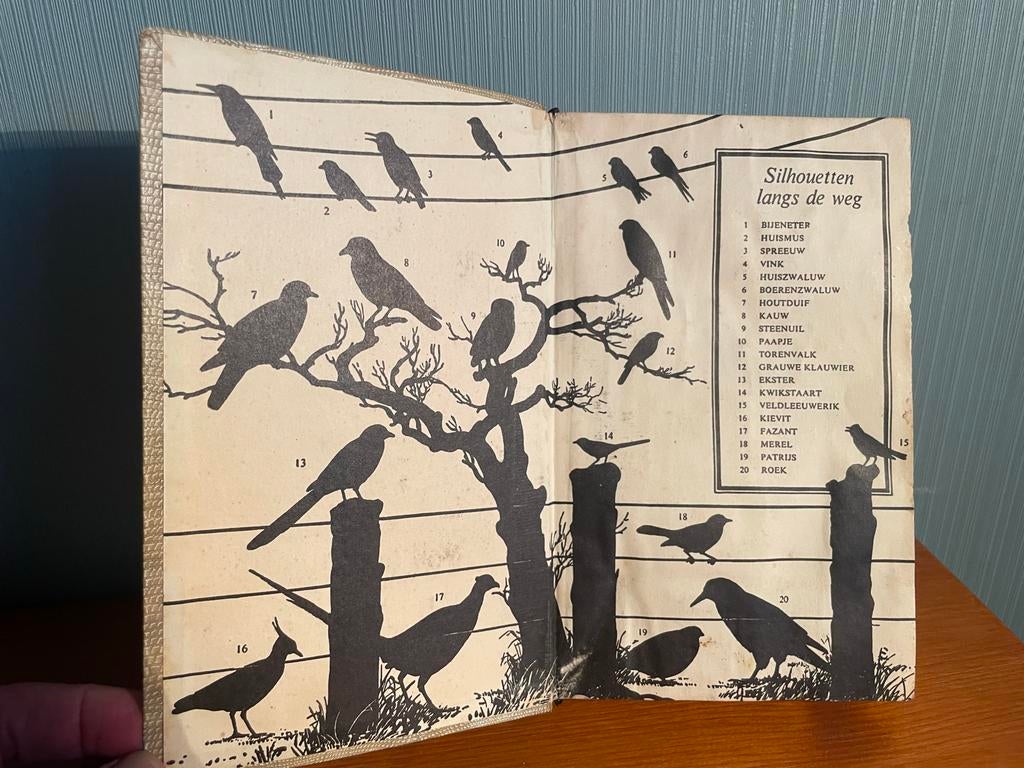 Vogelgids uit 1954 - R.T. Peterson, G. Mountfort P Hollom, Boeken, Ophalen of Verzenden, Gelezen, Vogels