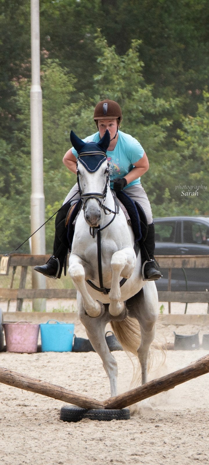Gezocht: Bijrijdpaard allround omgev. Soest-Amersfoort, Verzorging of Verzorgpony's