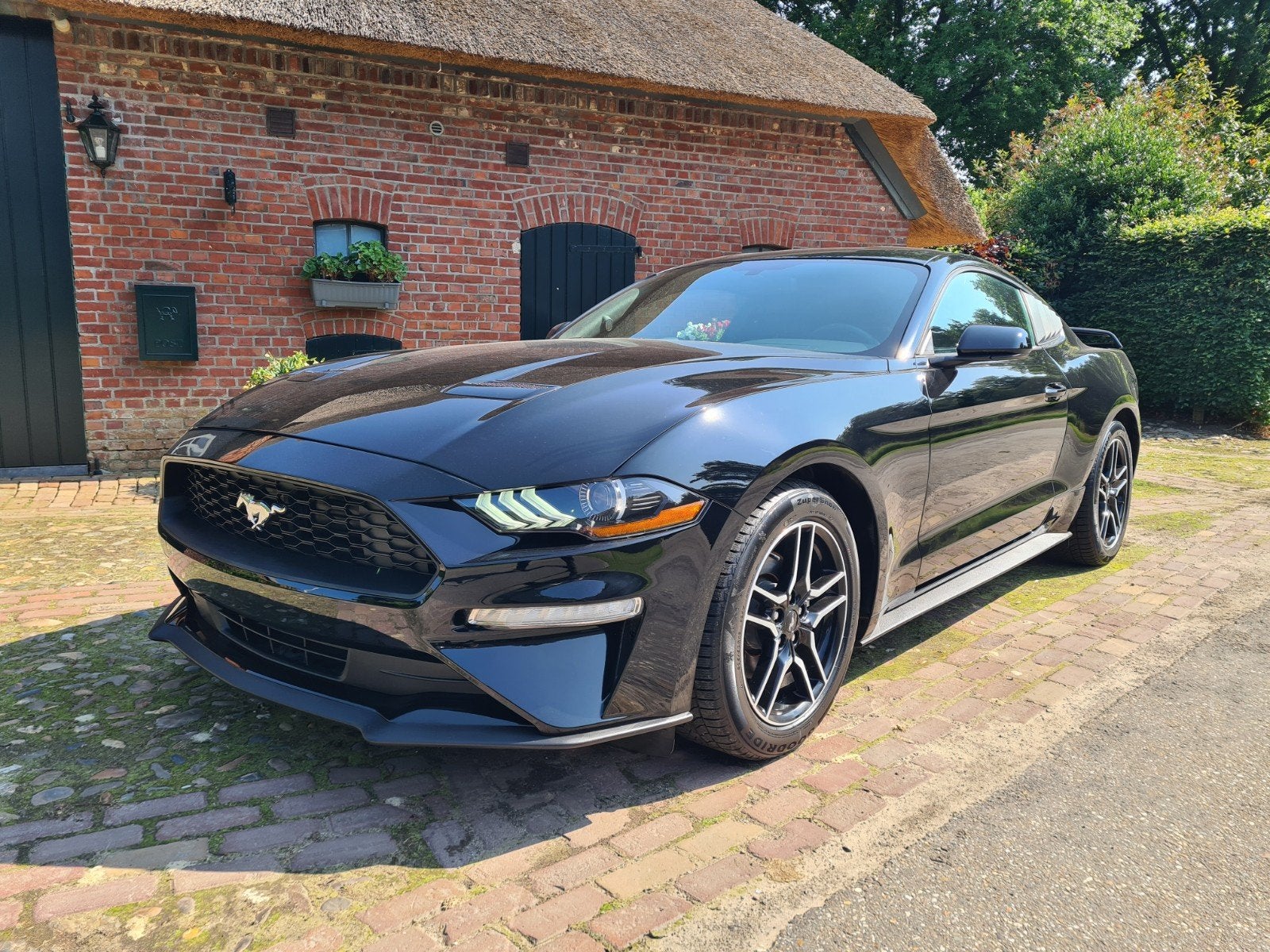 Ford mustang 2.3 eco nieuw model zeer mooi!! Full option !!, Automaat, Achterwielaandrijving, 4 cilinders, Leder