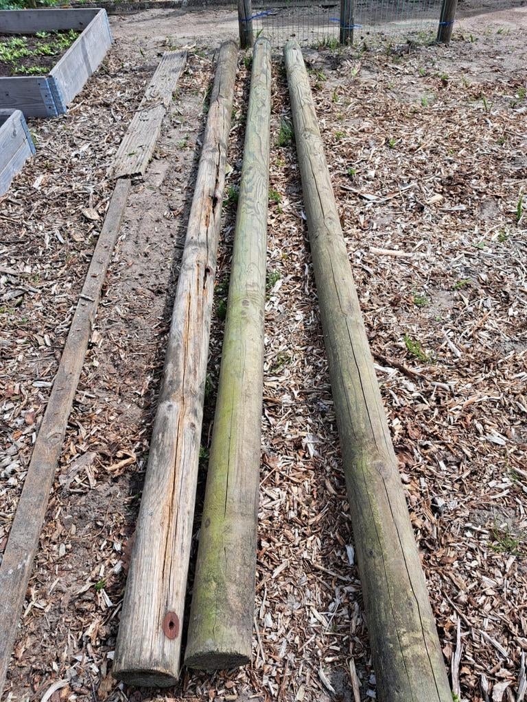 3x Houten ( boom) palen voor tuin 3 meter lang, Tuin en Terras, Palen, Balken en Planken, Ophalen, Gebruikt, 250 cm of meer, Palen