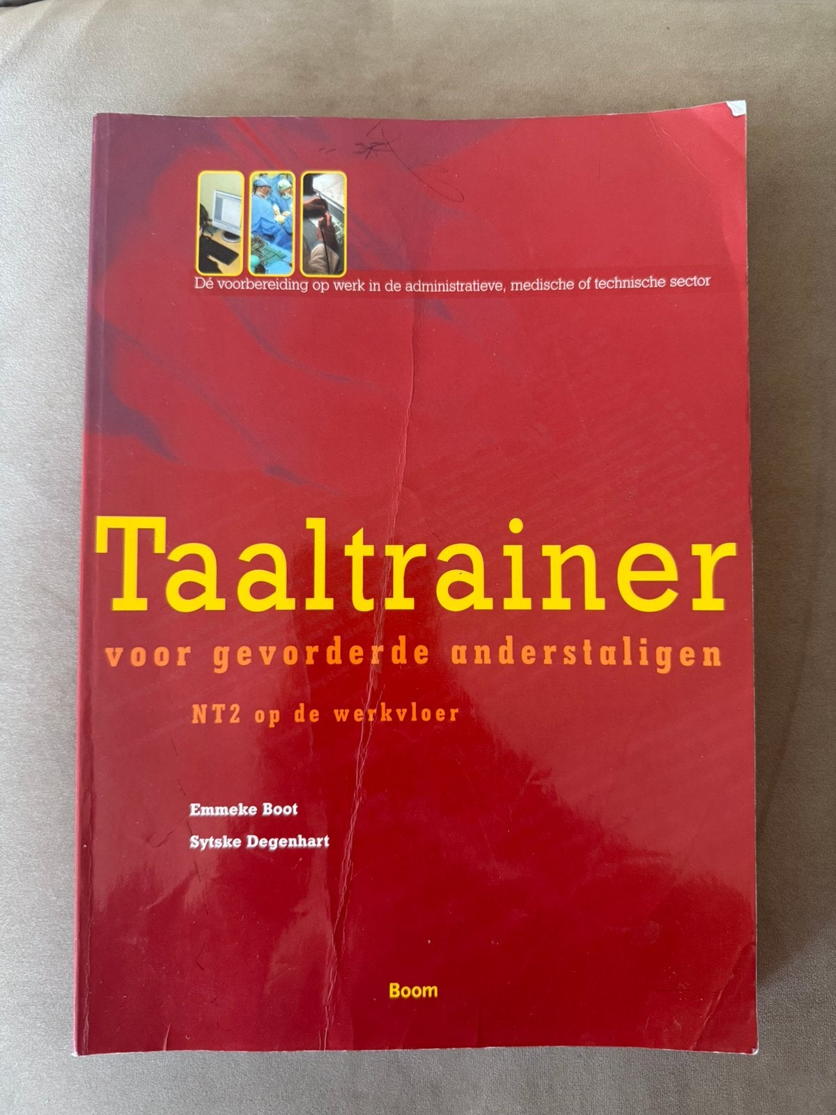 Taaltrainer voor gevorderde anderstaligen NT2 op werkvloer, Ophalen of Verzenden, Alpha, Overige niveaus, Emmeke Boot; Sytske Degenhart