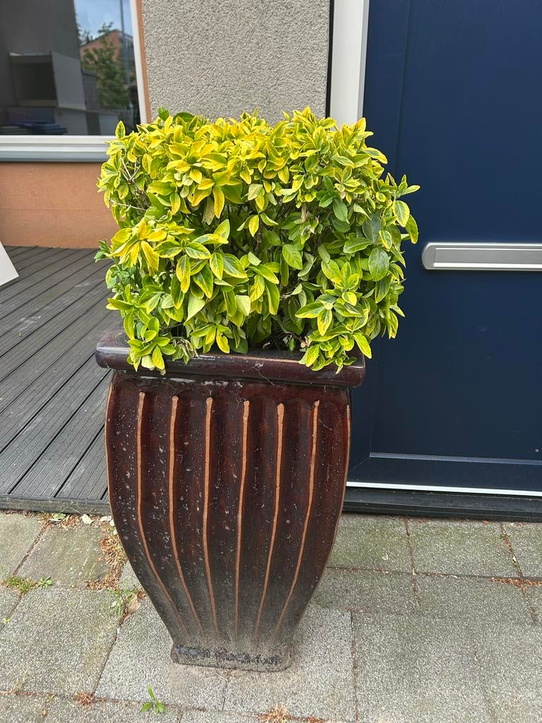 Grote buiten bloempoten, Ophalen, Zo goed als nieuw