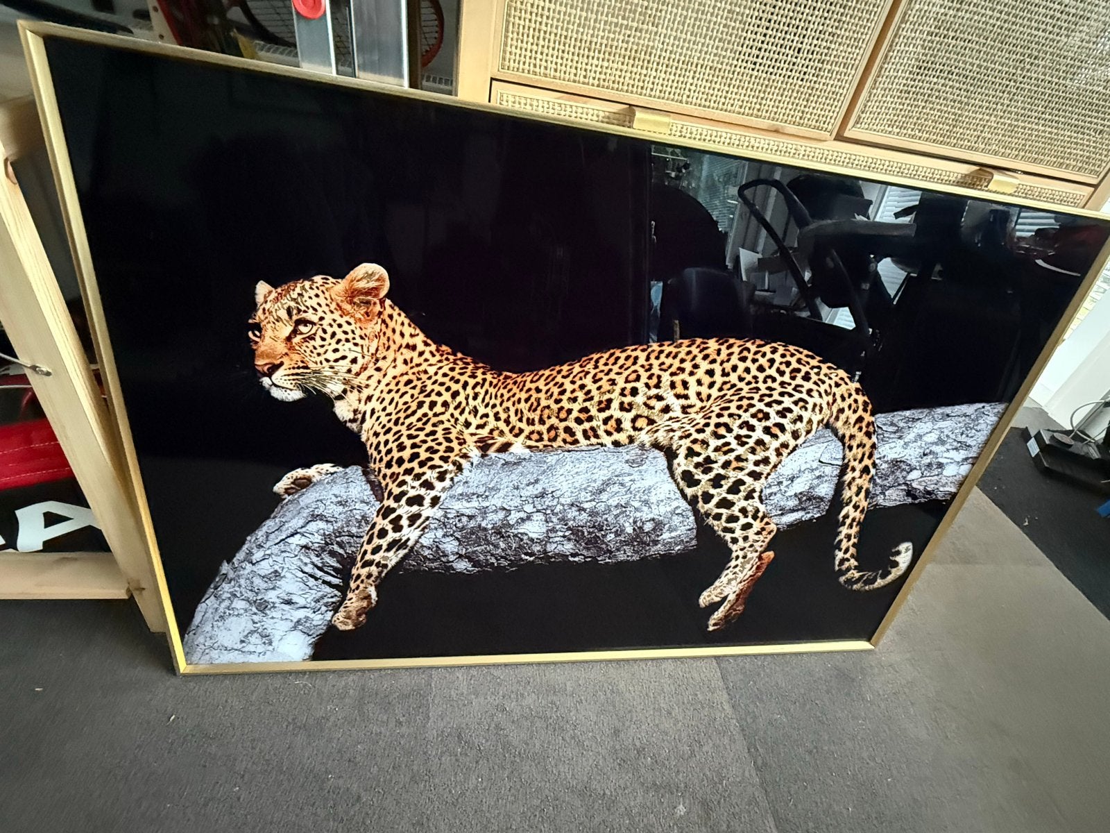 Groot schilderij met luipaard op boomstam, Ophalen of Verzenden