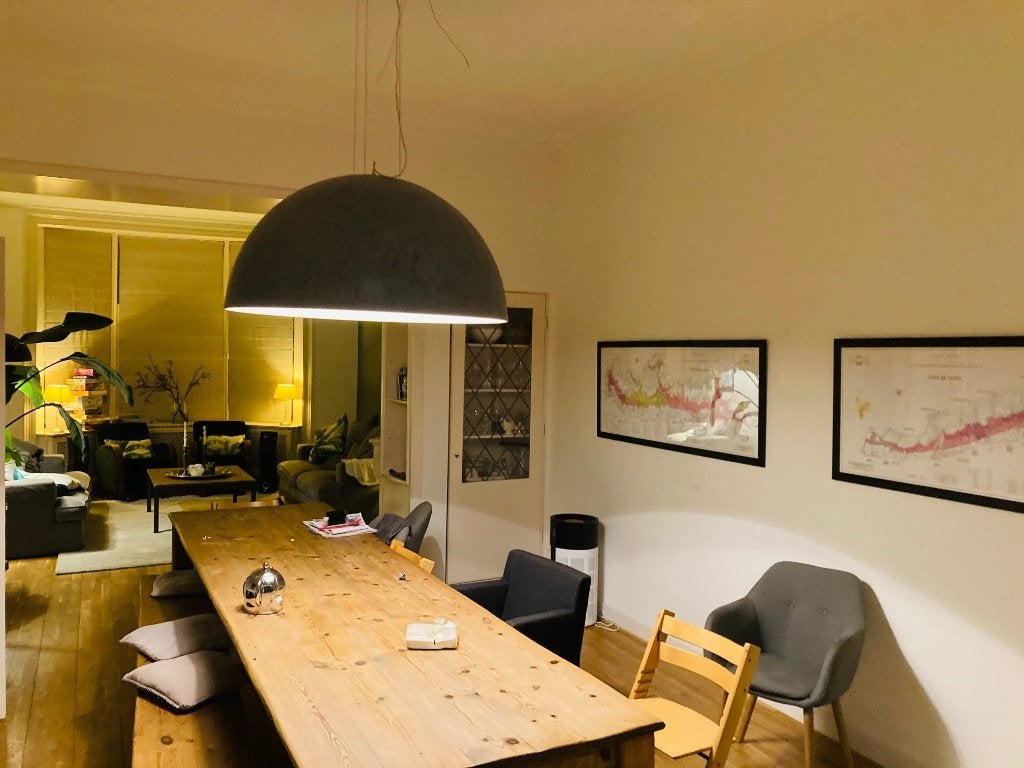 gratis : grote hanglamp grijs, Ophalen, Zo goed als nieuw, Kunststof, Overige fittingen