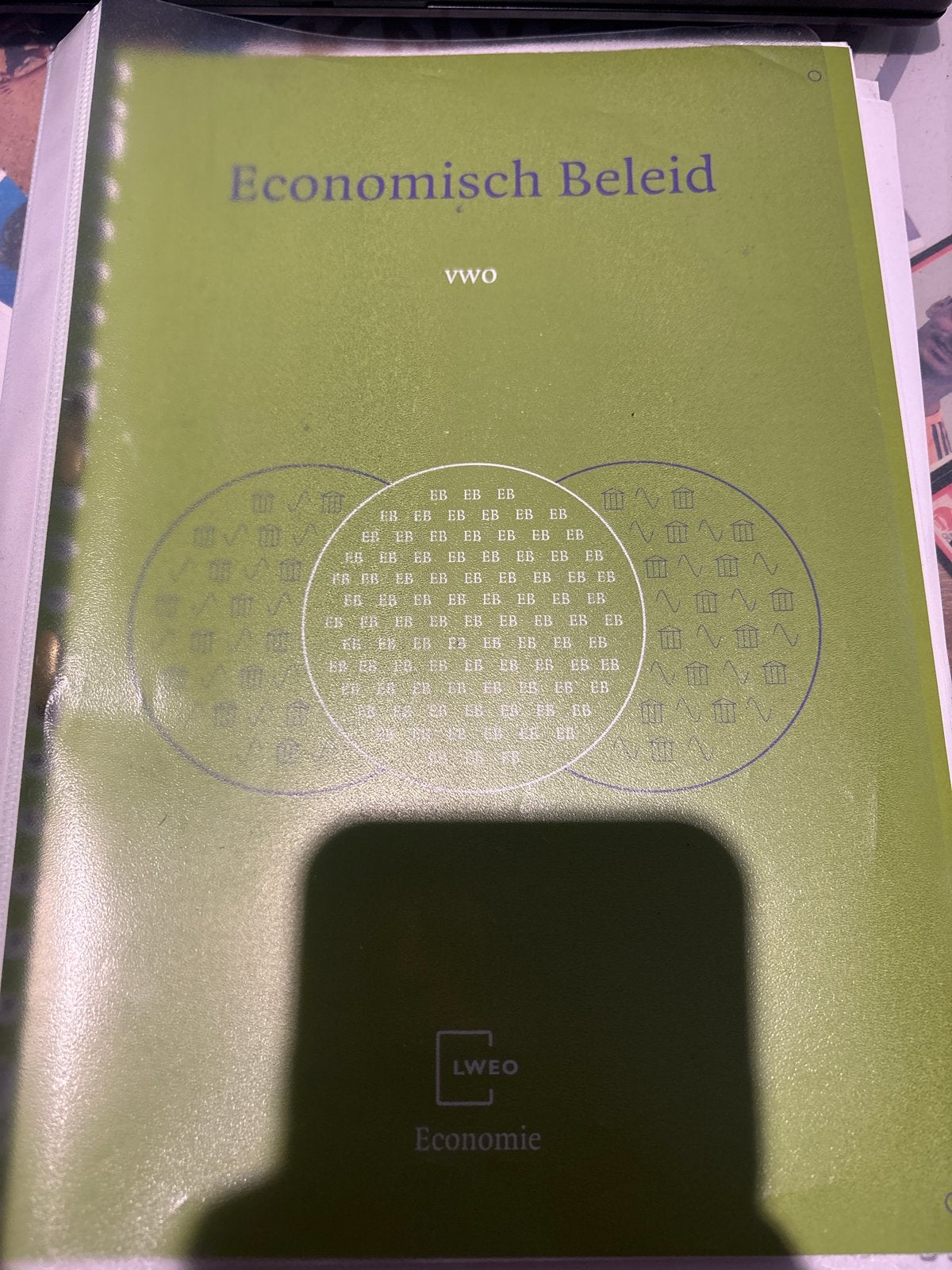 Economisch Beleid VWO - LWEO Economie, Ophalen of Verzenden, Gamma, Zo goed als nieuw