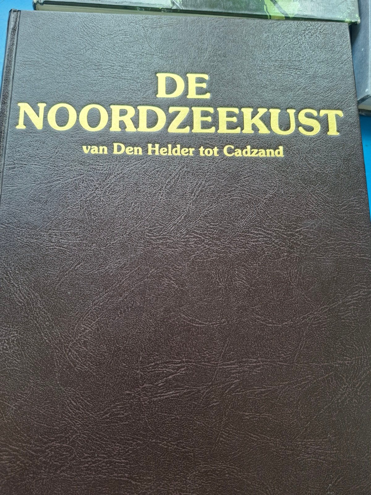 De Noordzeekust: van Den Helder tot Cadzand, Boeken, Reisgidsen, Ophalen of Verzenden